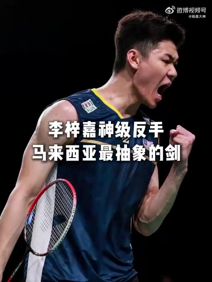 韩国队绝杀马来西亚队，李梓嘉统治全场