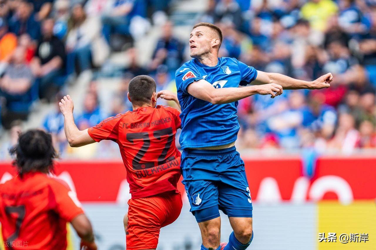 包含霍芬海姆新赛季目标明确，欲在德甲联赛取得突破的词条