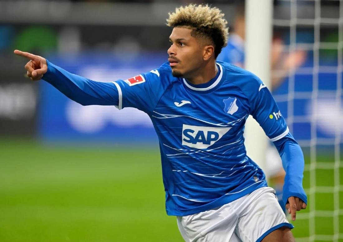 包含霍芬海姆新赛季目标明确，欲在德甲联赛取得突破的词条