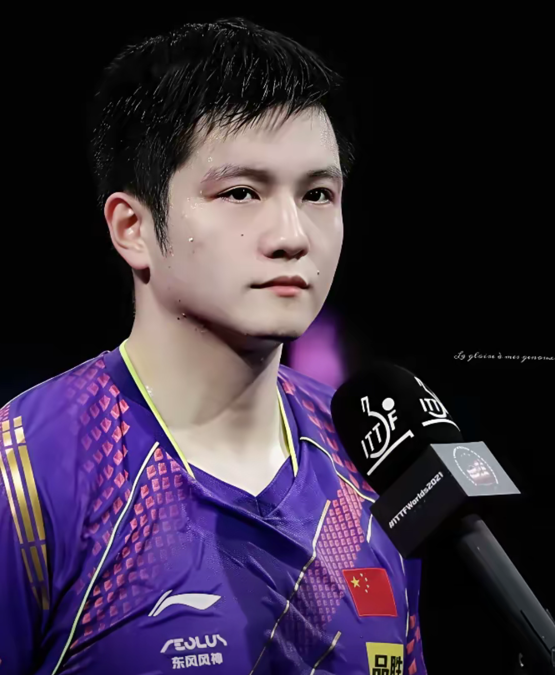 关于德国队逆转奥地利队，樊振东惊艳四座的信息