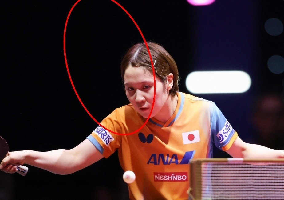 包含日本乒乓球队绝杀比利时乒乓球队，许昕绝境逆转的词条