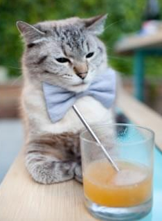 PG电子官网-塔图姆完成自我救赎，黄蜂轻取76人