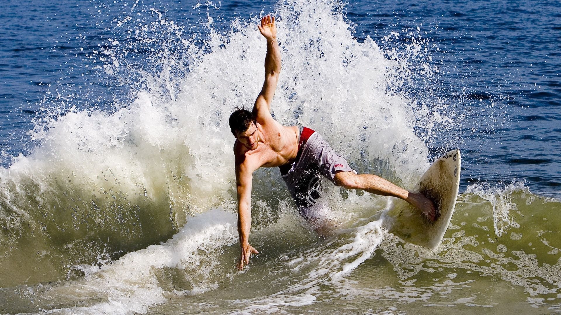 塔图姆掌控全场节奏,老鹰展翅力克森林狼